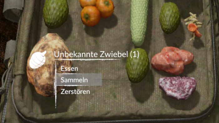 Samen für Beete bekommst du aus den Früchten durch "Sammeln". Auch Zwiebeln kannst du so in Beete pflanzen