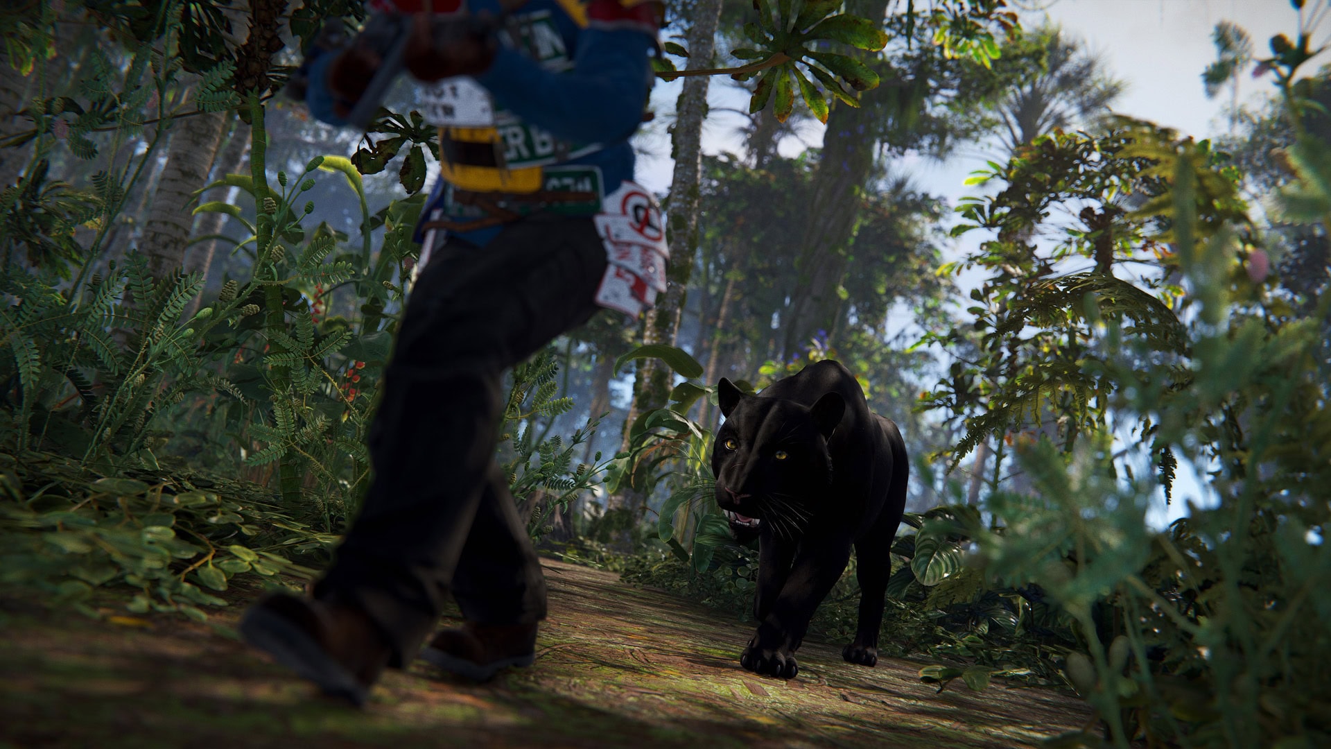 Gefahr im Dschungel von Rust: Panther, die sich von hinten anschleichen...